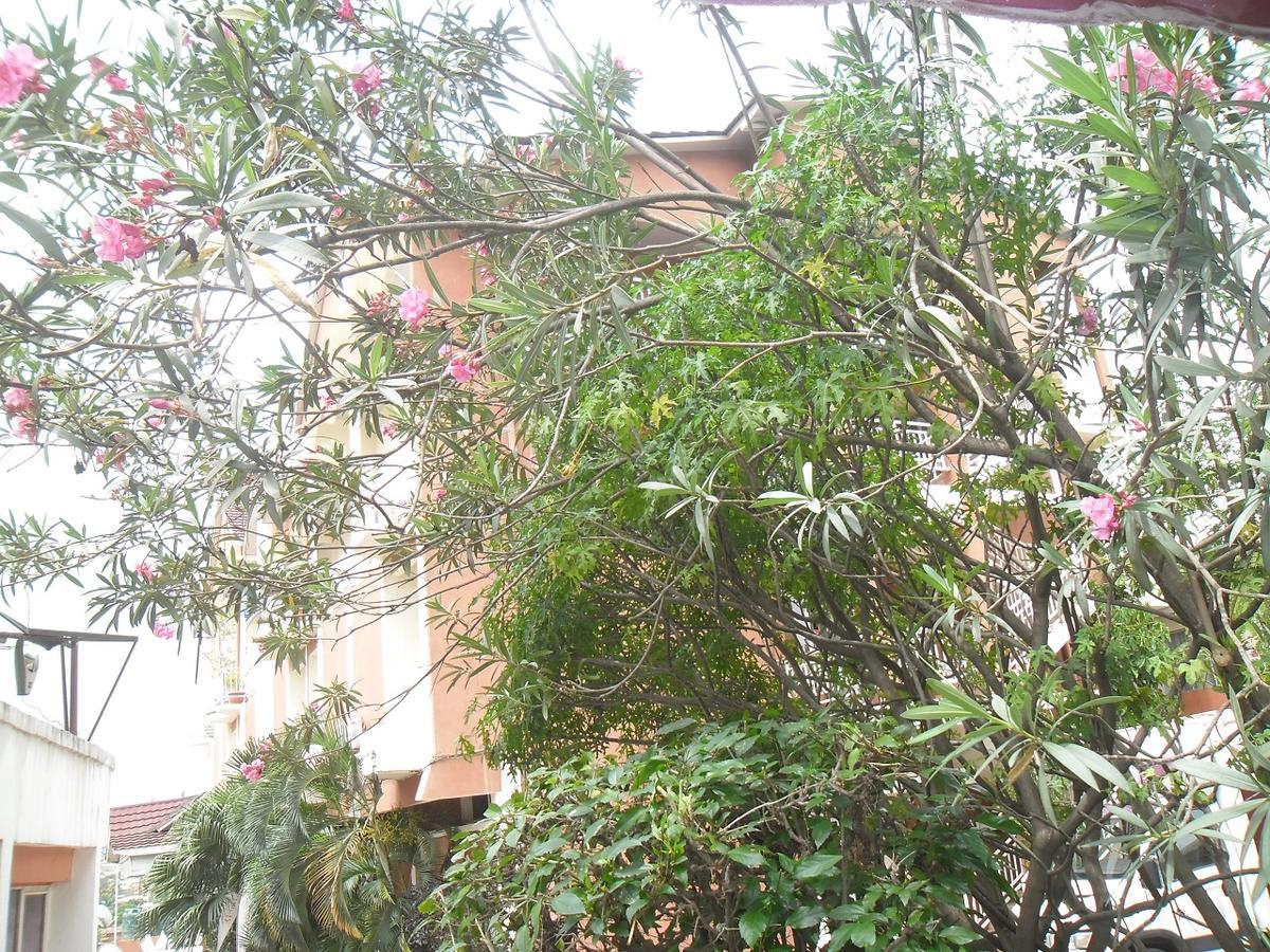 Hotel Vivi Palace Matadi Εξωτερικό φωτογραφία